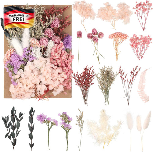Natürliche getrocknete blumen - natürliche,