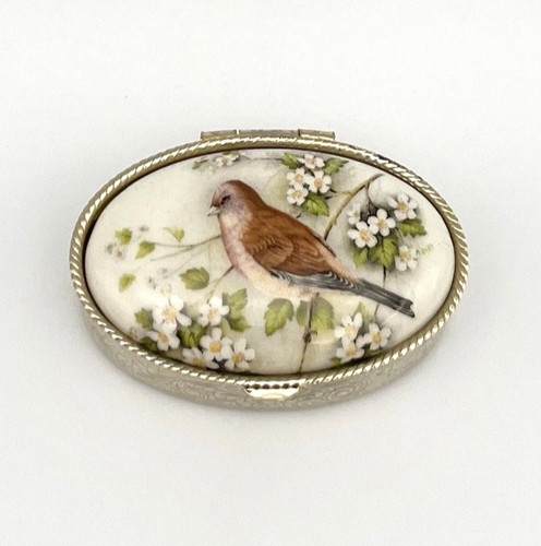 Pillendose vogel auf zweig - pillendose,